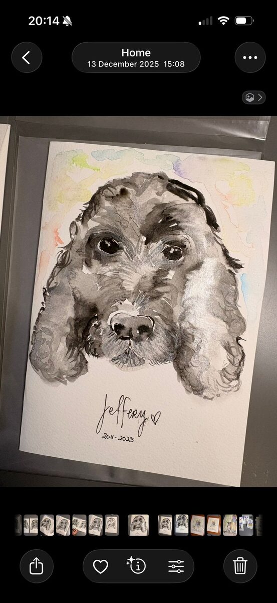 Wtf Illustration gallery image